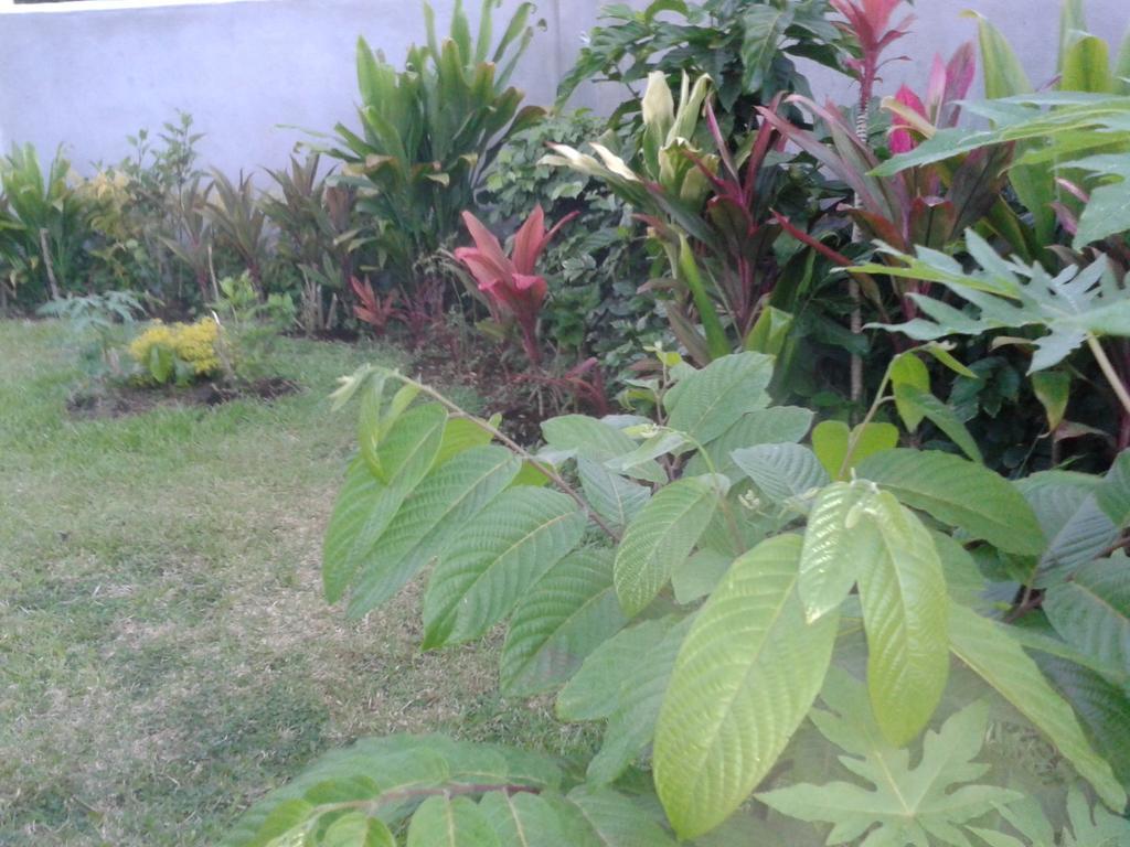 Dayspring Lodge Nuku'alofa Kültér fotó