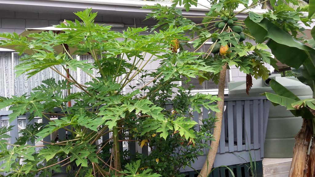 Dayspring Lodge Nuku'alofa Kültér fotó