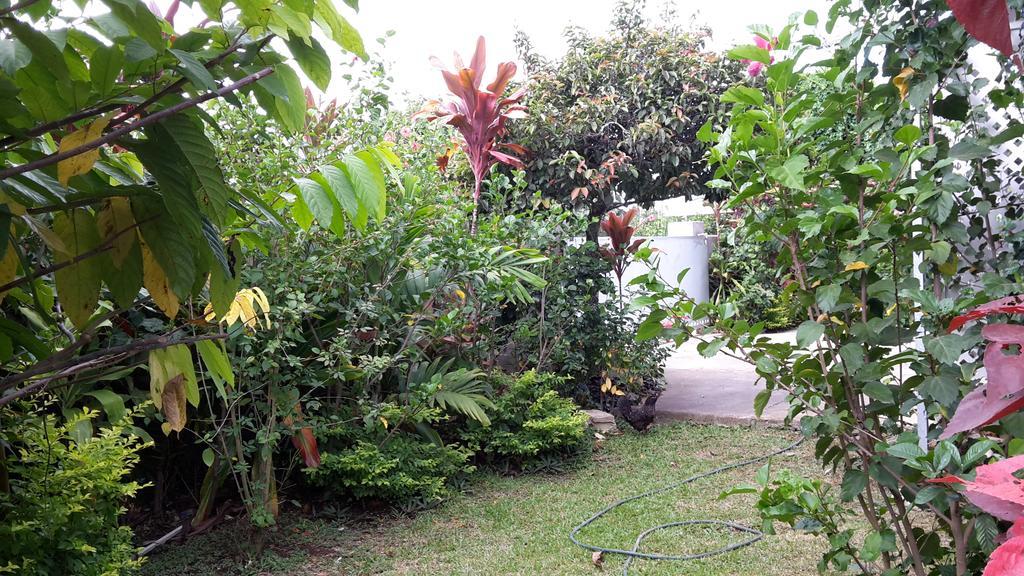 Dayspring Lodge Nuku'alofa Kültér fotó