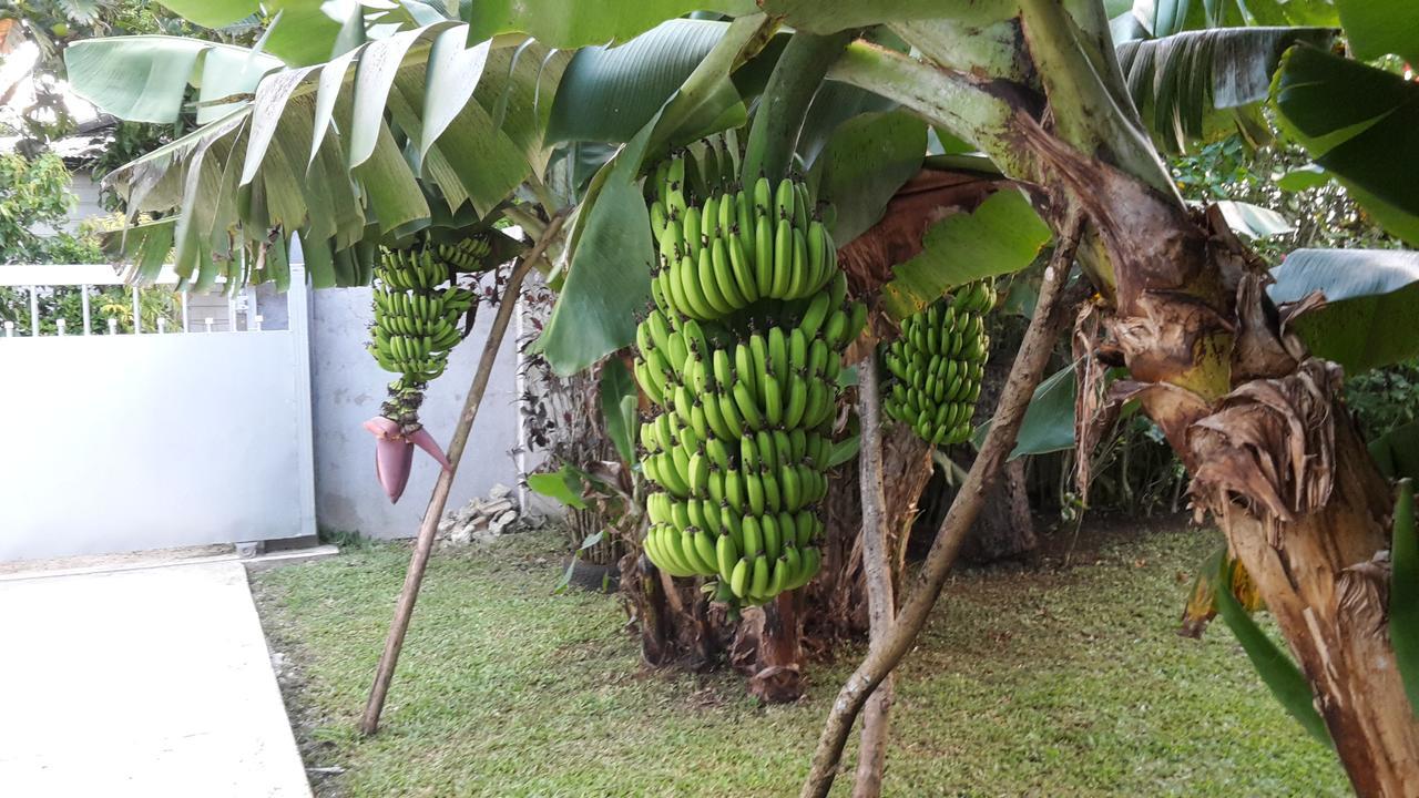 Dayspring Lodge Nuku'alofa Kültér fotó