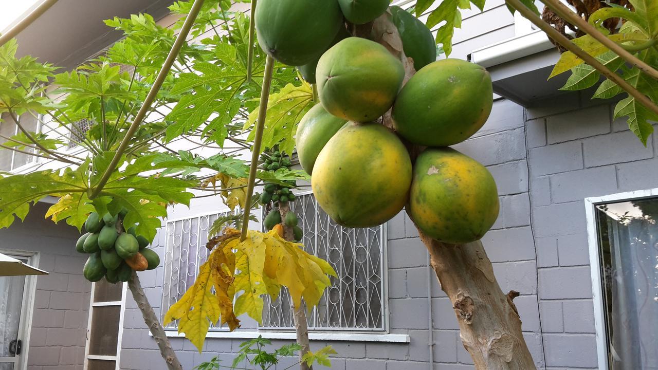Dayspring Lodge Nuku'alofa Kültér fotó
