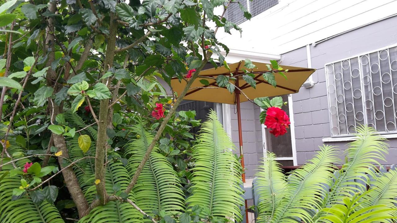 Dayspring Lodge Nuku'alofa Kültér fotó